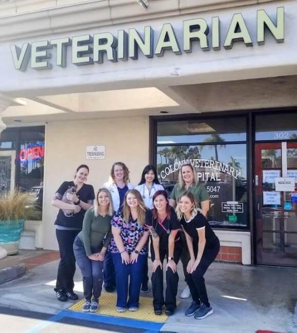 Veterinary hospital in [practice:city]