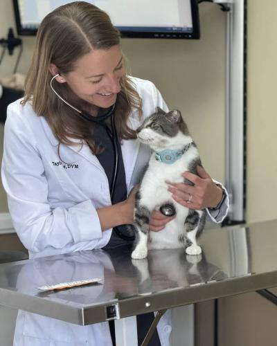 Dr. Taylor Moore