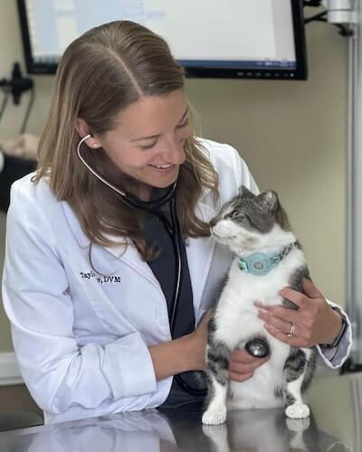 Dr. Taylor Moore